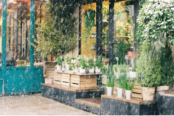 Những Dự Án Căn Hộ View Sông Sài Gòn Tại Thủ Thiêm